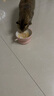 海洋之星猫零食猫罐头补水营养汤罐85g成猫幼猫肉罐 实拍图