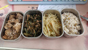 小熊（Bear）电热饭盒 加热饭盒 保温饭盒可加热 双层四胆办公室蒸煮热饭神器可预约上班族加热便当盒DFH-G16W7 实拍图