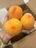 春福乐 山东蒙阴黄桃【多地次日达】新鲜水果金桃子脆蜜毛油送礼品物盒 【7A金奖级】单果90g+ 净4.5-5斤装【老树果-80%选择】 实拍图