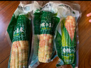 京鲜生 西双版纳香糯小玉米 净重4斤 礼盒装 低脂粗粮 多种包装随机发货 实拍图