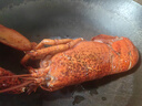 京东超市 海外直采加拿大熟冻波士顿龙虾 450g/盒 整只装 海鲜水产 实拍图