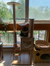 乐妃猫爬架子猫窝猫树一体小型不占地猫架猫咪太空舱跳台玩具 实拍图