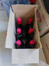 桃乐丝（Torres）西班牙进口 公牛血金标干红葡萄酒750ml*6整箱 名庄高端红酒送礼 实拍图