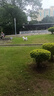 欧卡曼马犬专用狗粮幼犬成犬通用型训练大型犬40斤装 马犬幼犬专用粮40斤装 实拍图