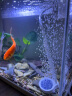 松宝（sobo）鱼缸氧气泵增氧泵水族箱增氧机养鱼打氧机 小型家用充氧泵 双孔4W 实拍图