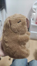 卡皮巴拉毛绒玩具公仔儿童生日礼物女孩情人节礼物水豚毛绒玩偶 卡皮巴拉公仔 1个装（新人专享） 实拍图