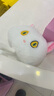 京七鲜肉猫粮无谷成猫幼猫全阶段通用型猫咪猫食品90%高肉益生菌配方 鲜肉无谷猫粮【不加冻干】 1斤（500g试吃装） 实拍图