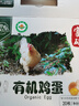 九華粮品有机富硒土鸡蛋20枚 净重1.6斤 散养草鸡蛋 柴鸡蛋 礼盒 实拍图
