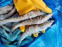 禧美海产 厄瓜多尔巨无霸白虾 去冰净重3斤 30-40只/kg 盐冻大虾 海鲜水产 实拍图