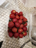 千禧小番茄750g 实拍图