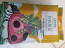 盖亚农场（Gaia Farm）有机黄豆非转基因东北大豆 豆浆豆 真空装 有机黄豆900g*1袋 实拍图