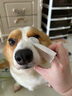 萌宠兄弟宠物猫咪狗狗泪痕去除液毛发氧化变色修护凝胶去黄红毛赠清洁湿巾 实拍图
