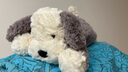 Jellycat唐布利牧羊犬动物毛绒玩偶安抚玩具狗公仔送礼娃娃生日礼物摆件 浅灰色 Medium 实拍图