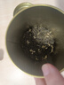 乐品乐茶茉莉飘雪茉莉花茶叶冷泡特级浓香碧螺春2025新茶横县新茶绿茶250g 实拍图