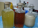 拜杰酒瓶空瓶500ml泡酒瓶果酒瓶密封酿酒罐泡酒容器白酒分装瓶酒坛 实拍图