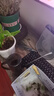 墨斗鱼浇花水壶长嘴 洒水壶家用大容量浇水浇花种菜不锈钢喷壶1L 3542 实拍图