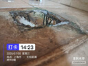 九牧（JOMOO） 11322-2-2/31KA-1抗菌一级水效大冲力马桶虹吸式加坐便器305坑距 实拍图