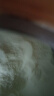 雅培全安素特医全营养配方粉 900g 麦香味 补充蛋白质粉 中老年营养粉 实拍图