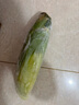 云南高原黄金水果玉米起脆甜爆浆可生吃现采现发300g/棒 水果玉米1斤 含箱 实拍图