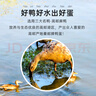 秦邮牌高邮咸鸭蛋20枚1100g 即食流油端午团购 中华老字号出口转内销 实拍图
