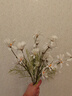 爱已装糖 高档仿真花假花客厅装饰插花电视柜摆件塑料花 荷兰小雏菊5支 实拍图
