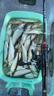 光威（GW）2000型号浦舟三代鱼线轮泛用纺车轮金属线杯渔轮远投路亚海钓轮子 实拍图