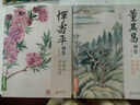 经典全集 恽寿平画集 8开中国画临摹画册书籍写意水墨国画山水花卉花鸟技法教材高清临本册页百花图卷名作赏析鉴赏收藏 杨建飞主编 实拍图