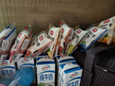桃李布雪蛋糕水果夹心奶油面包糕点心早餐下午茶零食混合口味整箱456g 实拍图