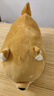 名创优品（MINISO）柴犬系列毛绒公仔趴姿玩具娃娃抱枕睡觉室内卧室办公室生日礼物 实拍图