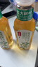 农夫山泉 东方树叶陈皮白茶500ml*2瓶 0糖0脂0卡无糖饮料茶饮料 实拍图