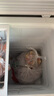 北极熊（BEIJIXIONG）小冰柜家用小型冷冻保鲜迷你冷藏商用卧式冷柜储母乳柜节能省电 单门单温138升【一级能效 全国联保】 138L 实拍图