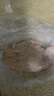 1号会员店 单冻鸡大胸 净重5斤 出口级食材 鸡肉鸡胸肉健身鸡胸肉鸡里脊 实拍图