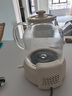 OIDIRE 德国OIDIRE 全玻璃养生壶花茶壶无胶水煮茶壶煮茶器办公室花茶养生壶烧水壶电热水壶炖煮智能保温 1L ODI-HC03花茶养生壶【不带滤网】 实拍图