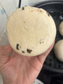 梅特德菲【官方授权】多功能电子微压锅家用大功率麦饭石电炒锅不粘锅插电一体电蒸煮锅大容量电火锅 6L 蒸笼款微压锅【30cm适合2-6人】七件套 实拍图