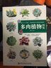 多肉植物图鉴 实拍图