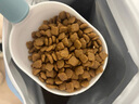 伯纳天纯狗粮生鲜鸭肉&梨0谷物冻干成犬幼犬通用犬粮拉布拉多12kg/24斤 实拍图