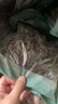 方家铺子中华老字号 七星东北御品秋木耳500g 黑木耳小碗耳肉厚无根干木耳 实拍图