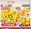 探味君【顺丰包邮】东北姑娘果 灯笼果黄菇娘洋姑娘果 新鲜水果整箱 3斤 净重2.8斤【精选装】 实拍图