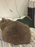 Orijen渴望猫粮 成猫幼猫干粮 六种鱼肉无谷全价通用进口5.4kg效期26/5 实拍图