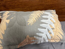 洁丽雅（Grace） 枕头枕芯纯棉一对新疆棉A类全棉纤维枕双人高弹舒适颈椎软枕 A类纯棉朴染 【中枕 一对装】 实拍图