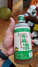 昆竹牌青梅酒 13度 450ml*6瓶 整箱装 本格梅酒梅子酒龙门特产果酒甜酒  实拍图