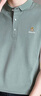皮尔卡丹短袖T恤男棉夏季翻领polo体恤衫上衣服男士短袖男装t恤打底衫 177浅绿 2XL （140-155斤） 实拍图
