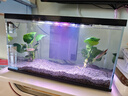 喜高超白玻璃鱼缸智能鱼缸免换水小型客厅水族箱一体式过滤氧气鱼缸 黑色-鱼缸+造景 485*225*283mm 实拍图