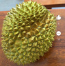 小憨哇泰国金枕头榴莲新鲜带壳进口应季水果整箱精品老树果整箱批发鲜果 净重2-3斤 实拍图