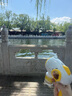 皇儿儿童手持电动泡泡机泡泡枪泡泡棒泡泡水吹泡泡防漏水网红户外玩具 实拍图