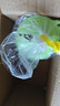 特百惠（Tupperware）雅致3件套300ML塑料杯男女士学生儿童夏季水杯子户外便携 随机色 实拍图