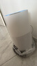美的（Midea）【小蓝鲸600】无雾空气加湿器净化家用卧室落地式小型工业除菌雾化器女孩礼物国家补贴2Y50 实拍图