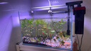 尼特利 NETLEA过滤桶小型外挂鱼缸过滤器壁挂式水族养鱼龟缸除油膜鱼缸过滤系统 2号壁挂草缸版【内含滤材】 实拍图