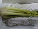 京鲜生山东新鲜大西芹净重4.5斤榨汁现挖芹菜鲜嫩蔬菜 去半叶源头直发 实拍图