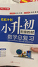小学数学升学总复习全解知识大盘点 小升初小学生必刷题大全大集结六年级毕业衔接教材模拟真题训练 实拍图